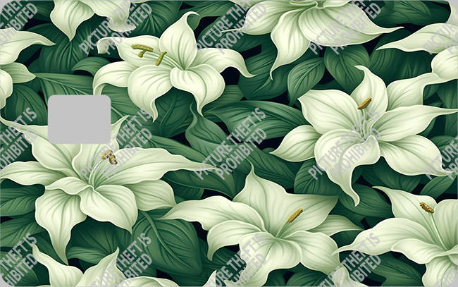 Bank  Card Sticker-BC-2340